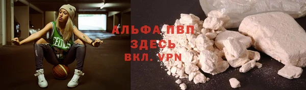 спайс Новодвинск