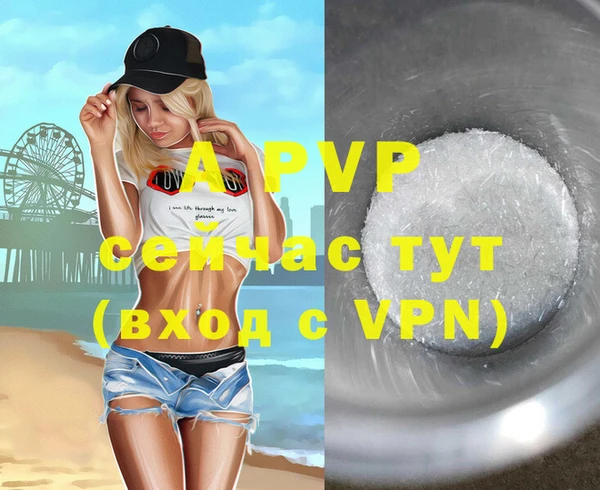 спайс Новодвинск
