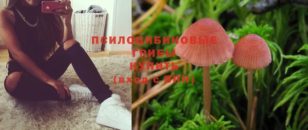 спайс Новодвинск
