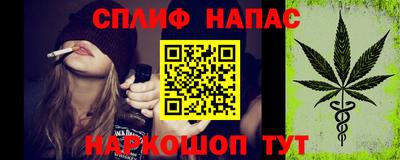 прущие крисы Бийск