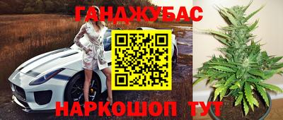 прущие крисы Бийск