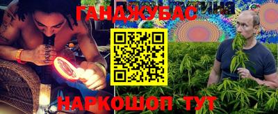 прущие крисы Бийск