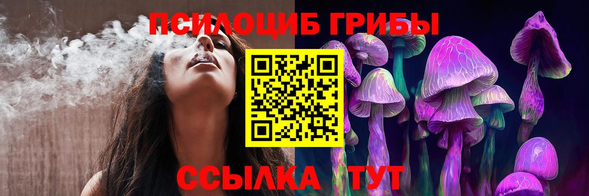 Псилоцибиновые грибы GOLDEN TEACHER Ефремов