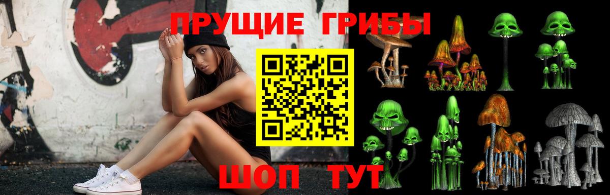 Галлюциногенные грибы Psilocybe Ефремов