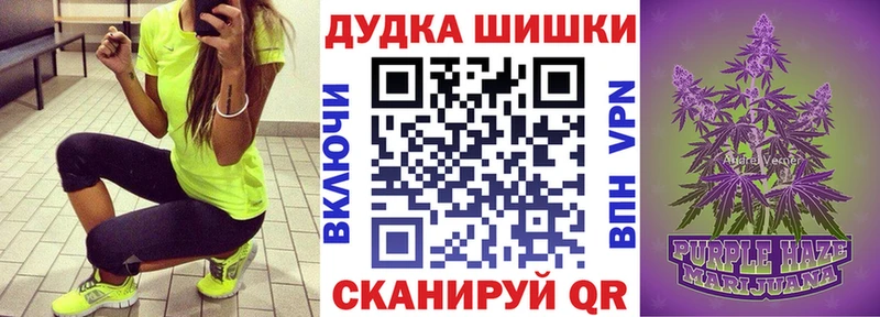 Бошки Шишки OG Kush  купить наркоту  Ефремов 